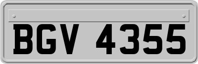 BGV4355