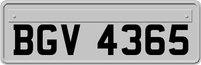 BGV4365