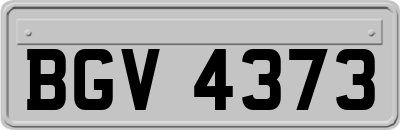 BGV4373