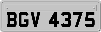BGV4375