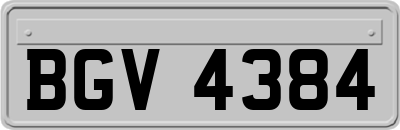 BGV4384