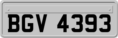 BGV4393