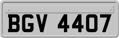 BGV4407