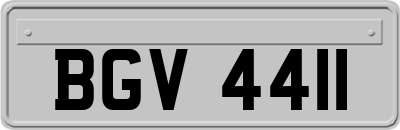 BGV4411