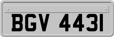 BGV4431