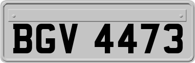 BGV4473