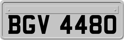 BGV4480