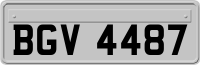 BGV4487