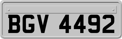 BGV4492