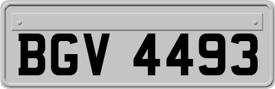 BGV4493