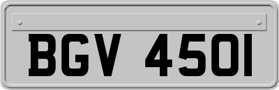 BGV4501