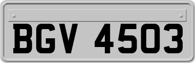 BGV4503
