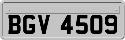 BGV4509