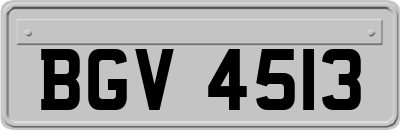 BGV4513