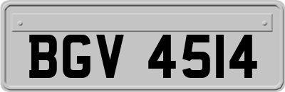 BGV4514