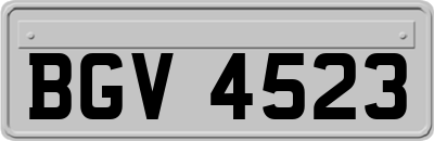 BGV4523