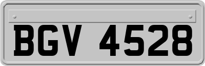 BGV4528
