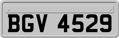 BGV4529