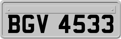 BGV4533