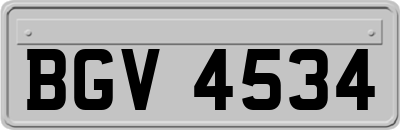 BGV4534