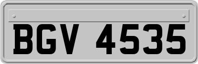 BGV4535