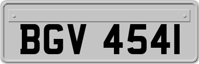 BGV4541