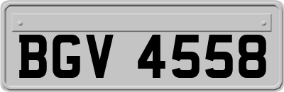 BGV4558