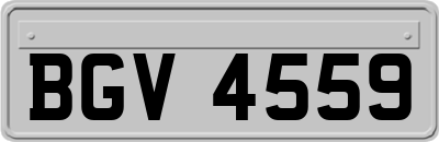BGV4559