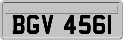 BGV4561