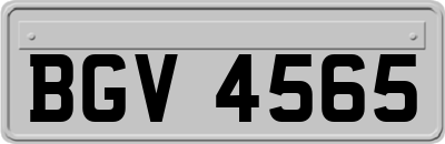 BGV4565