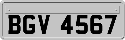 BGV4567