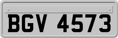 BGV4573