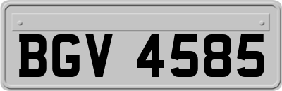 BGV4585