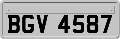 BGV4587