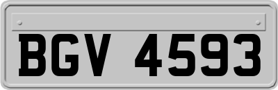 BGV4593
