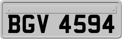BGV4594