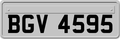 BGV4595