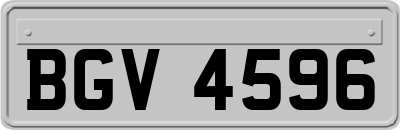 BGV4596