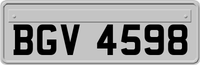 BGV4598