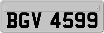 BGV4599