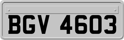 BGV4603