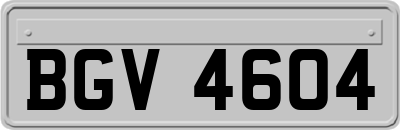 BGV4604