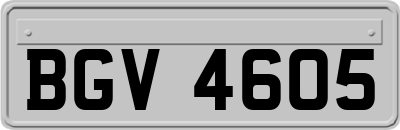 BGV4605