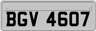 BGV4607