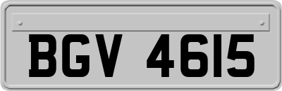 BGV4615