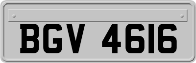 BGV4616