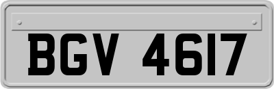 BGV4617