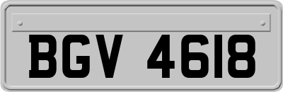 BGV4618