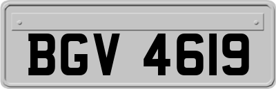 BGV4619
