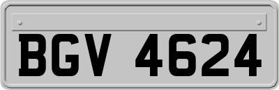 BGV4624